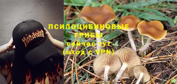 первитин Алексеевка