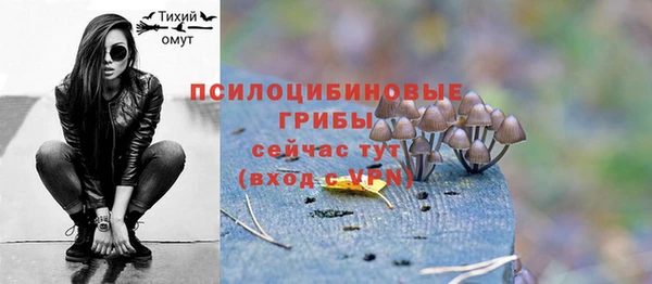героин Алексин