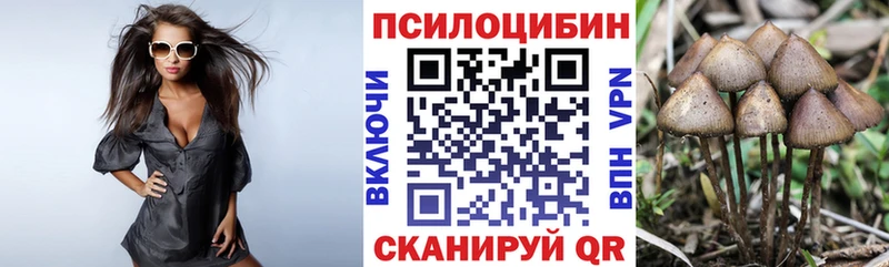 omg онион  где найти   Юрьевец  Галлюциногенные грибы Cubensis 