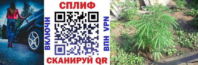 Марихуана семена  mega ссылки  Юрьевец  где купить наркотик 